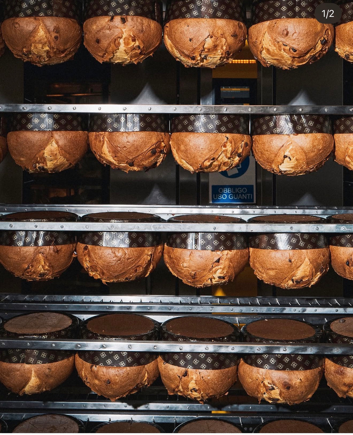 APRICOT & SALTED CARAMEL PANETTONE OLIVIERI 1882 x THE CORNISH ITALIAN