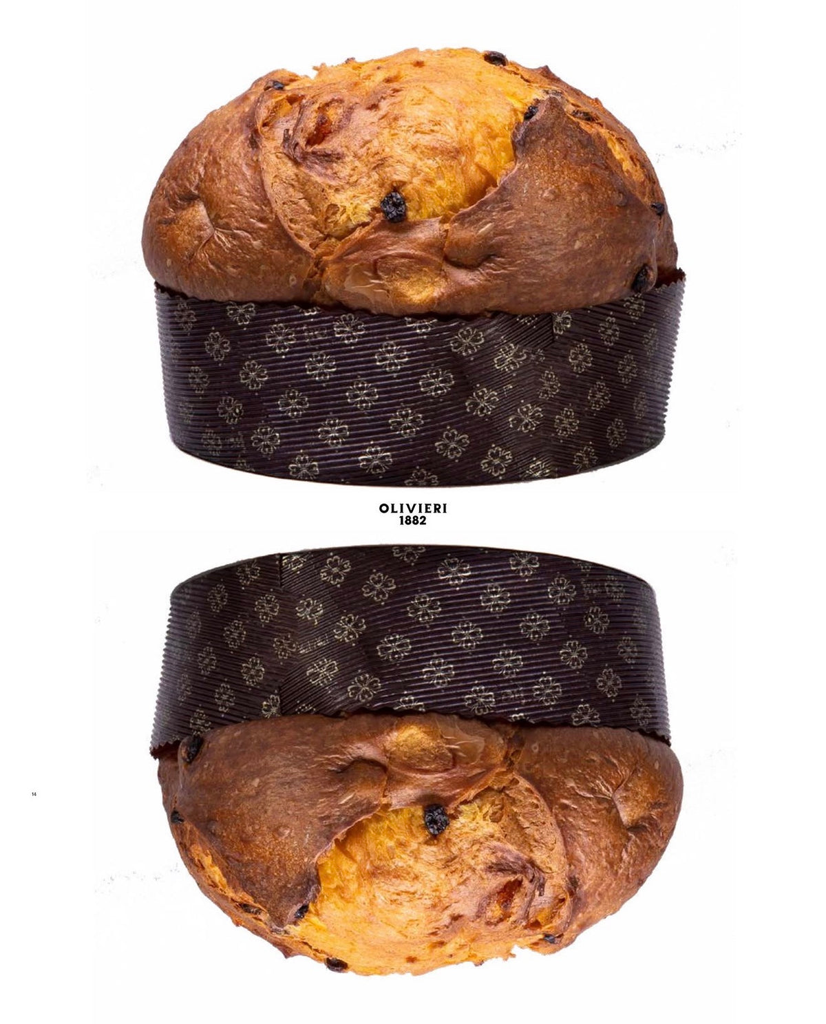 ARTISAN PANETTONE CLASSICO OLIVIERI 1882 x THE CORNISH ITALIAN